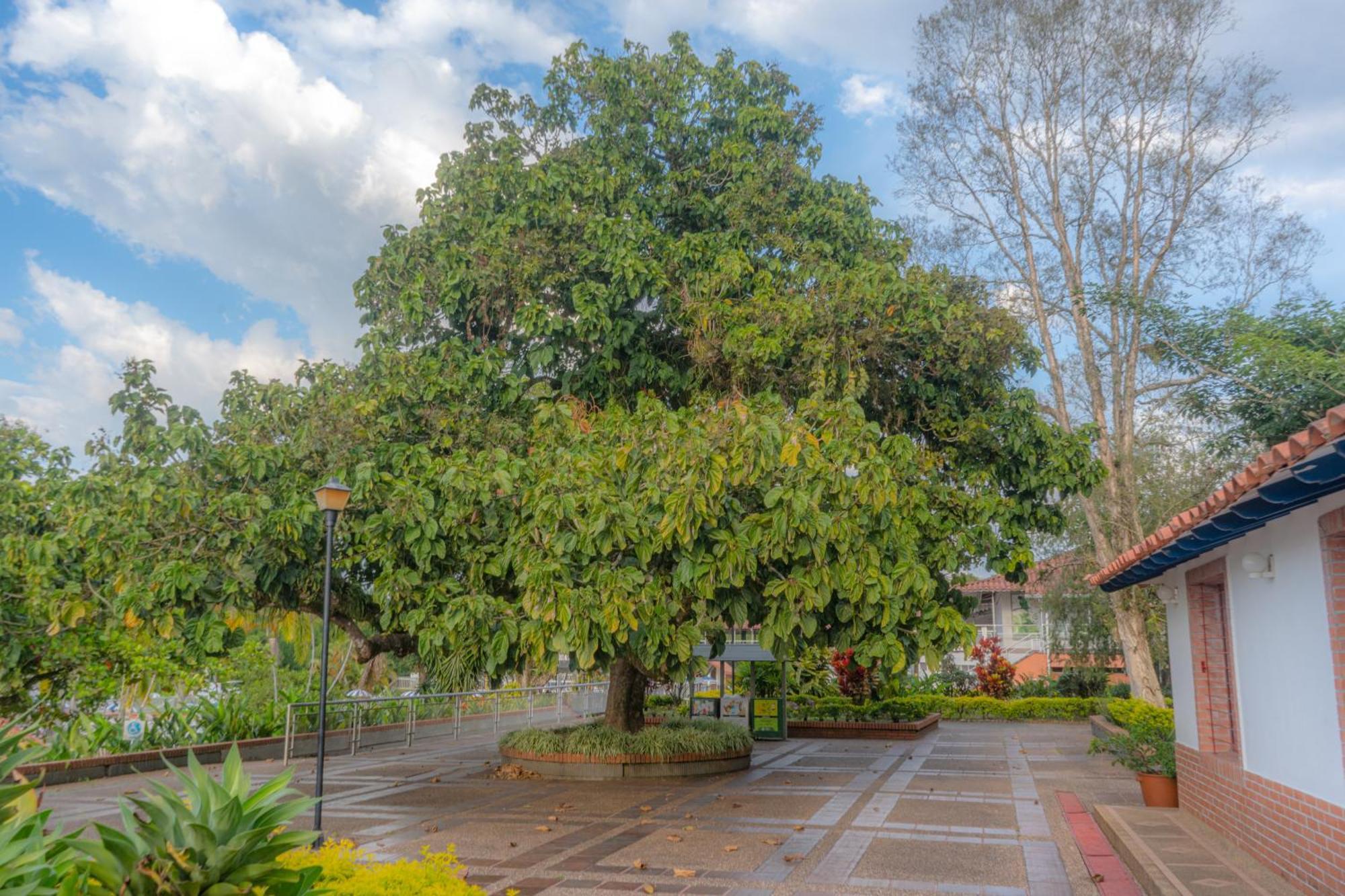 Hotel Barranqueros Soleden El Socorro 外观 照片